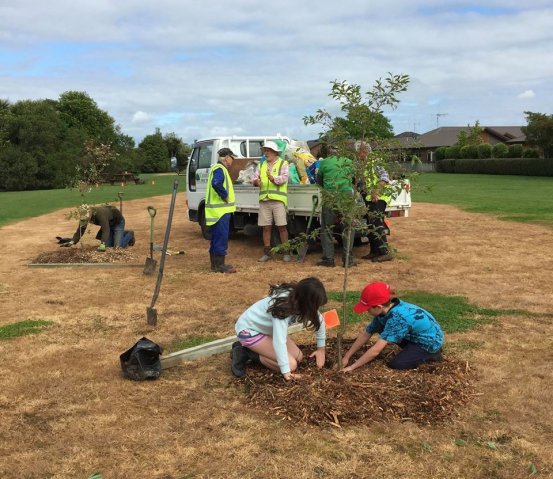 Planting flowering cherries 1